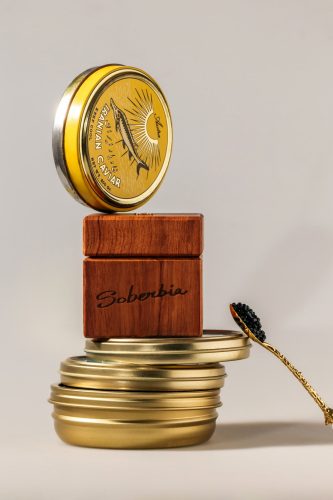 SOBERVIA_NEWSLETTERS_13